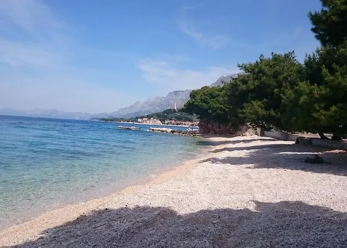 Lavanda Podgora (Split-Dalmatia)