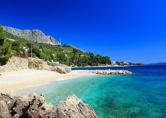 Lavanda Podgora (Split-Dalmatia)