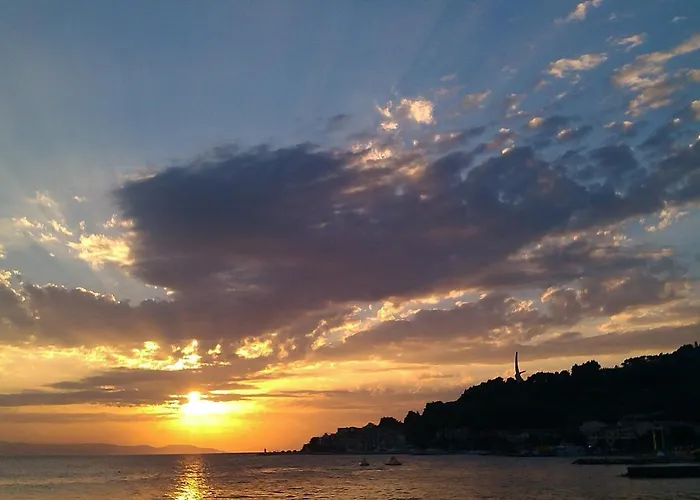 Lavanda * Podgora (Split-Dalmatia)